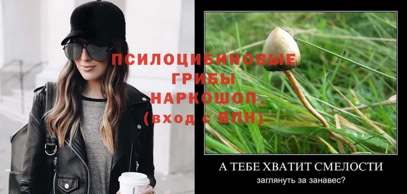 Галлюциногенные грибы Magic Shrooms  купить  цена  KRAKEN маркетплейс  Десногорск 