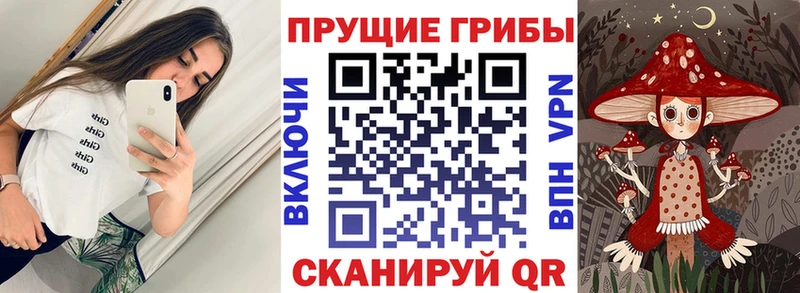 darknet наркотические препараты Десногорск Псилоцибиновые грибы Cubensis
