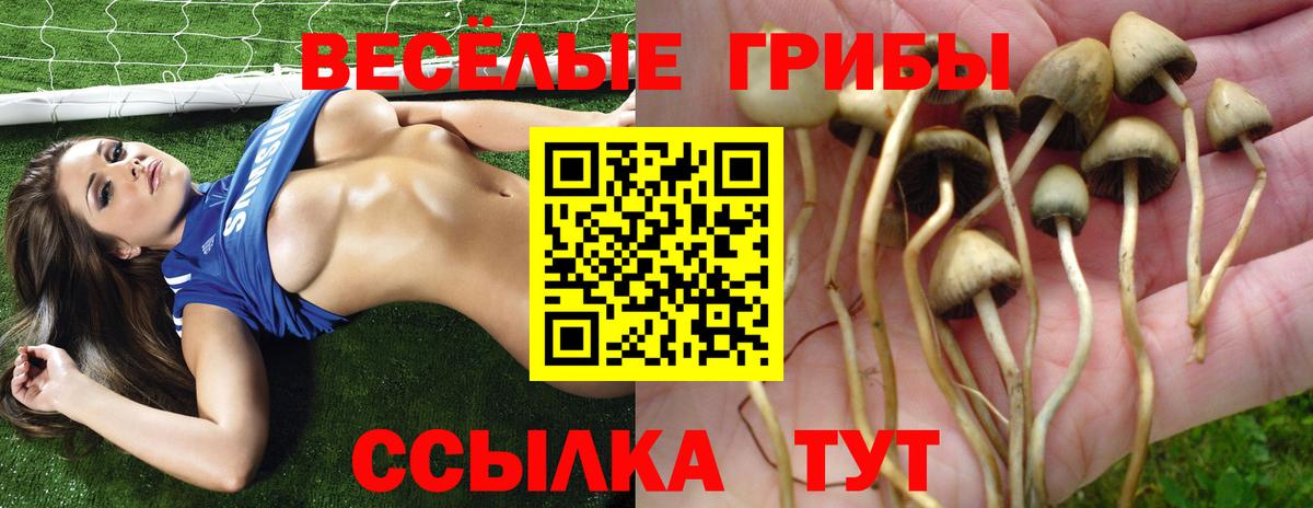 Псилоцибиновые грибы Magic Shrooms Десногорск