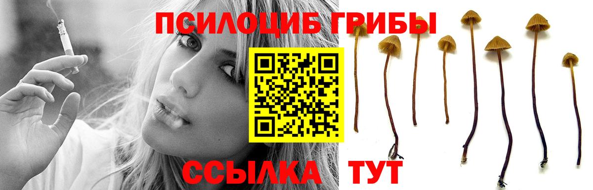 Псилоцибиновые грибы ЛСД  Десногорск 