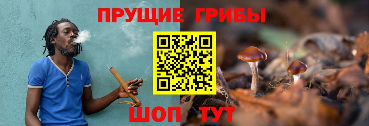 Десногорск  Псилоцибиновые грибы мицелий  Вход с VPN  Галлюциногенные грибы MAGIC MUSHROOMS 
